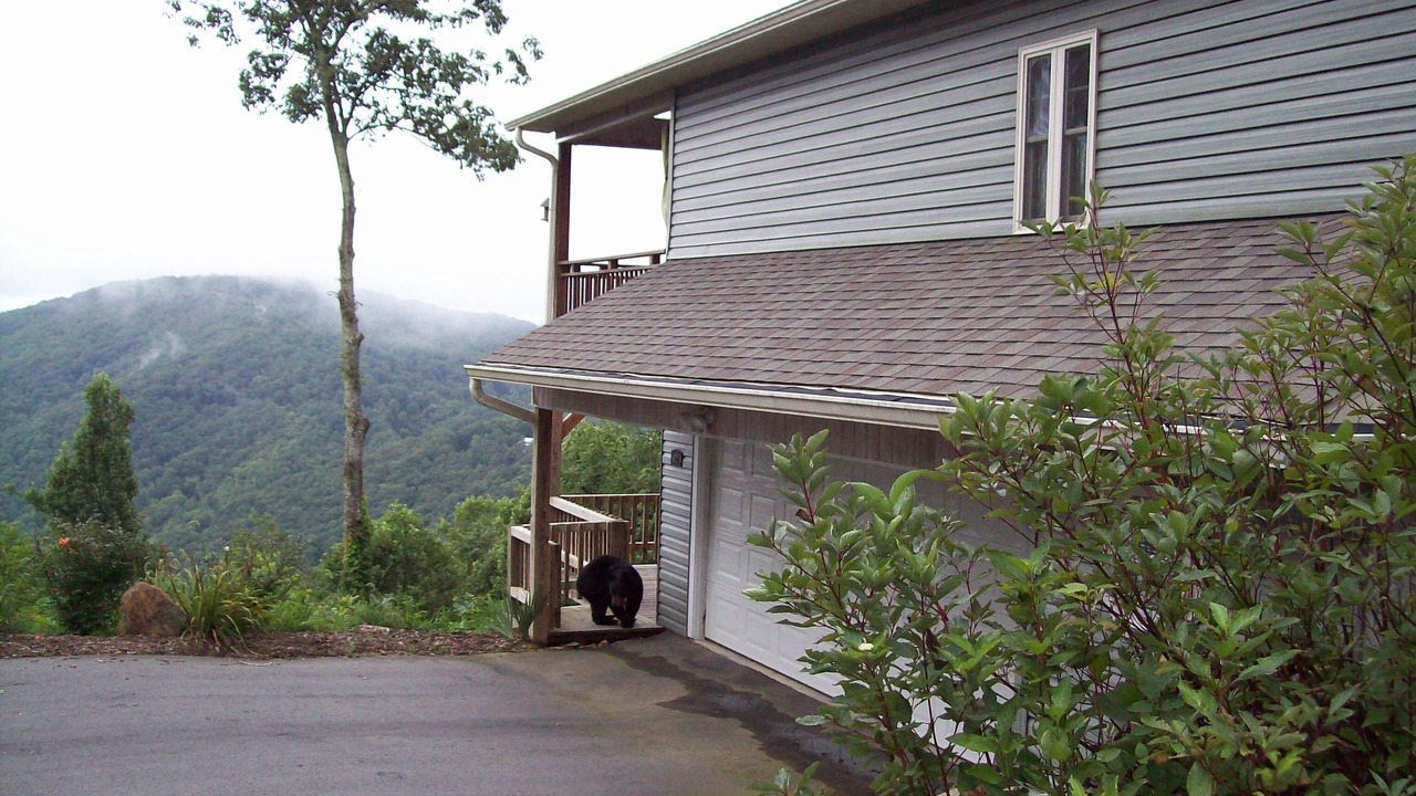 Photo of Others in Skyland