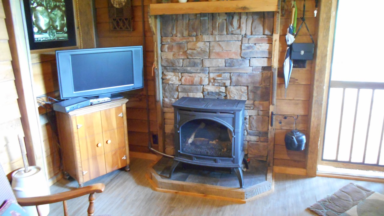 Photo of Livingroom in Skyland