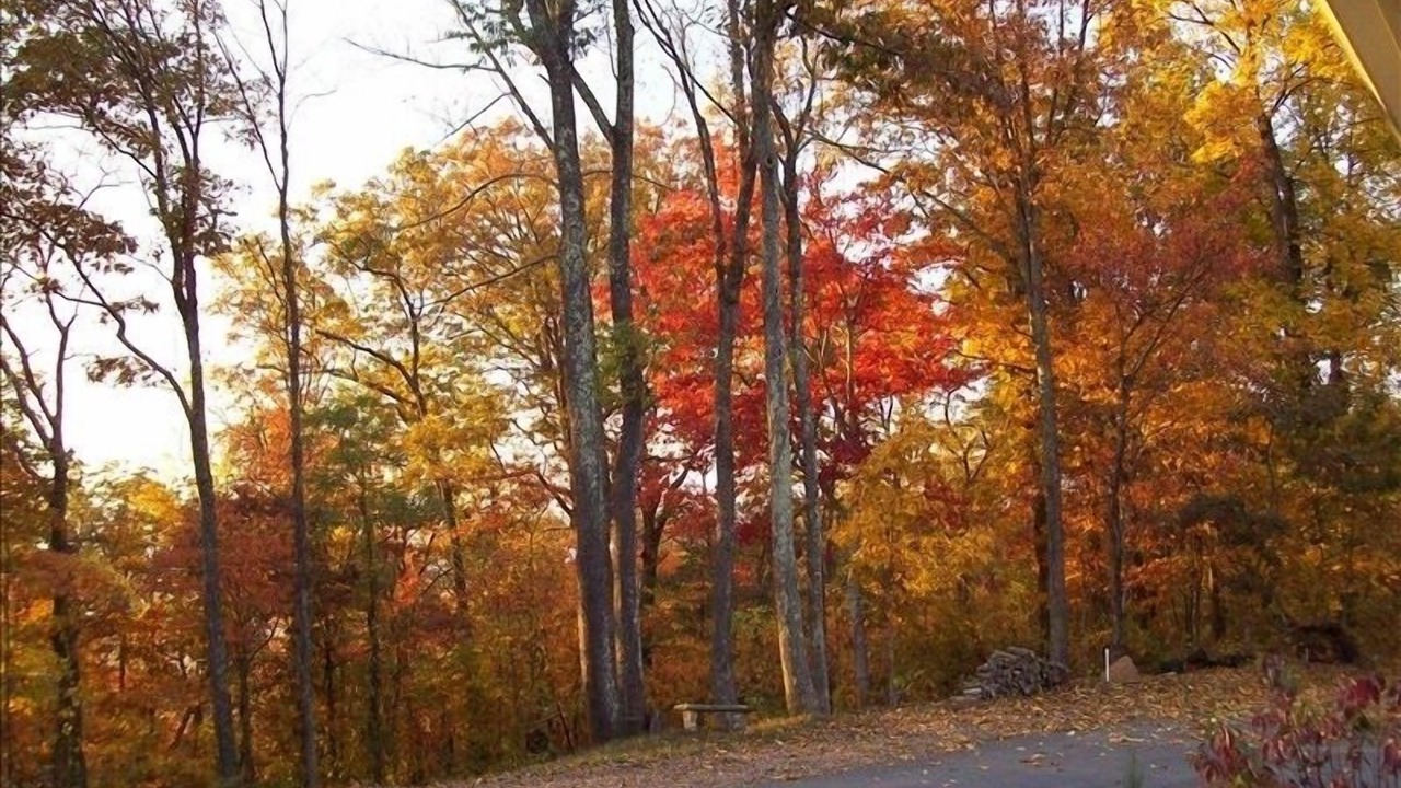 Photo of Others in Skyland