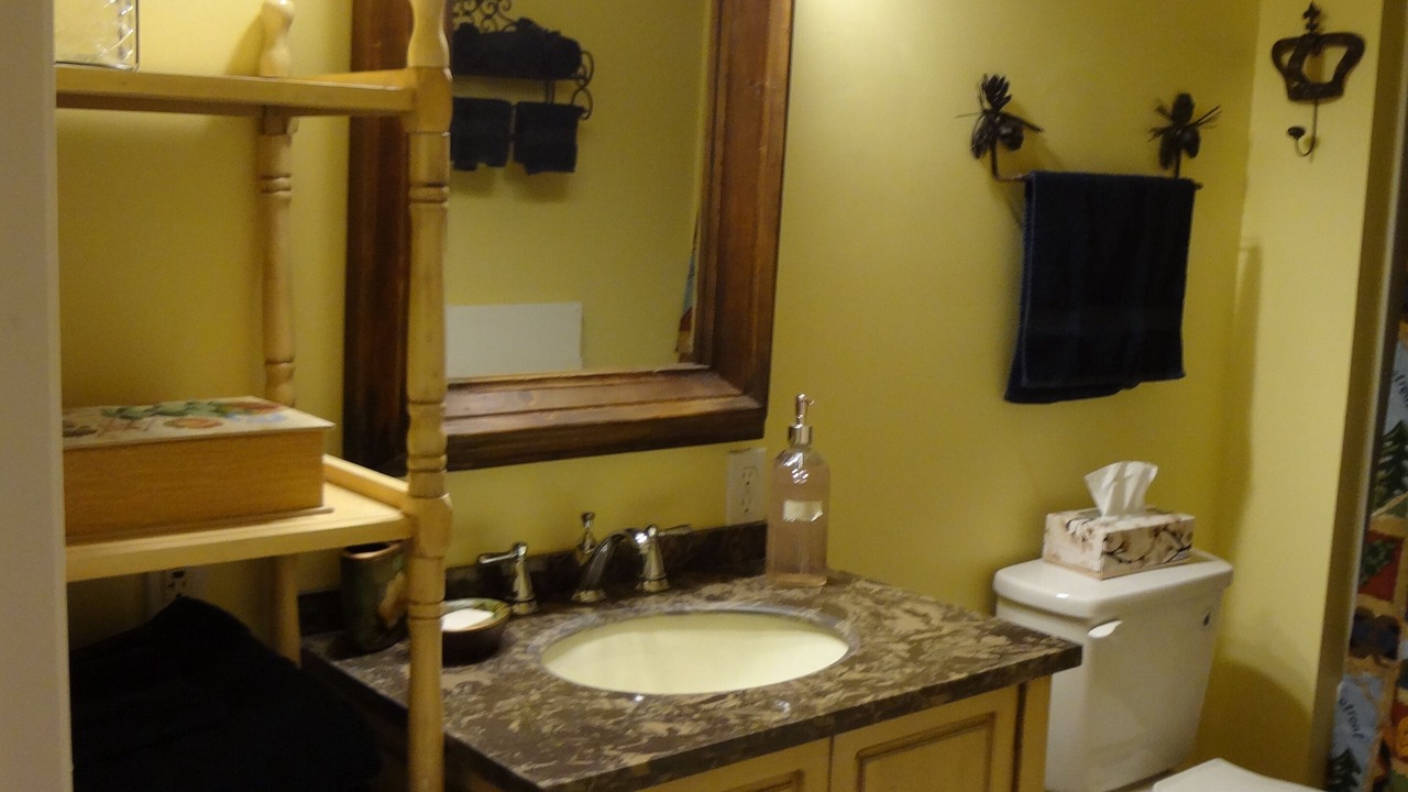 Photo of Bathroom in Traphill