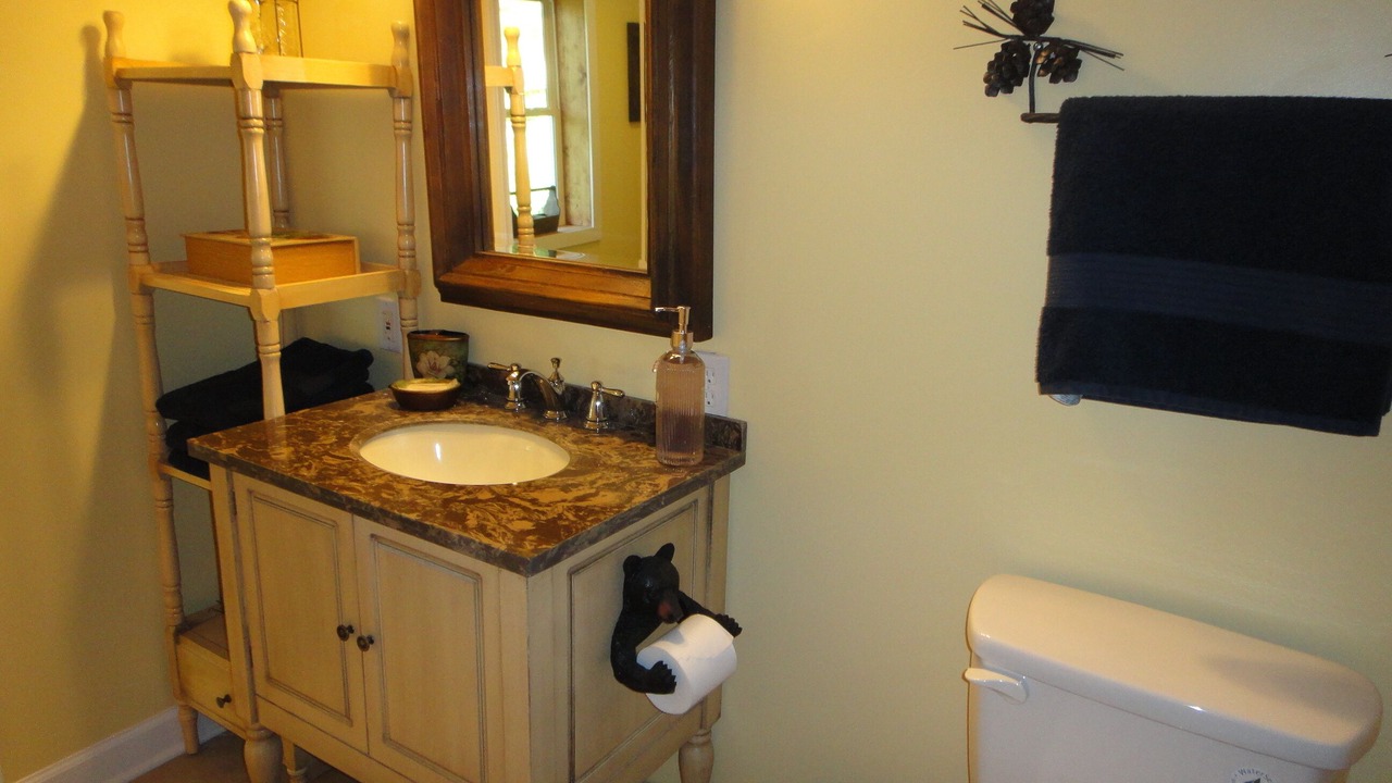 Photo of Bathroom in Traphill