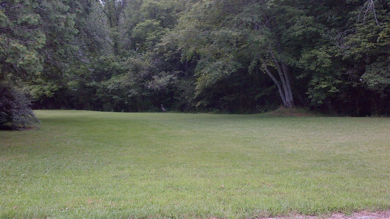Photo of Outdoor in Franklin