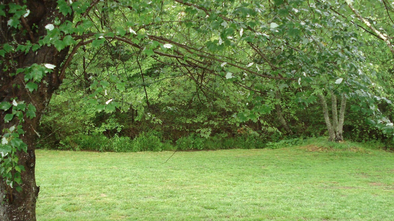 Photo of Others in Franklin