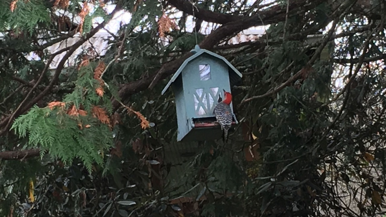 Photo of Outdoor in Franklin