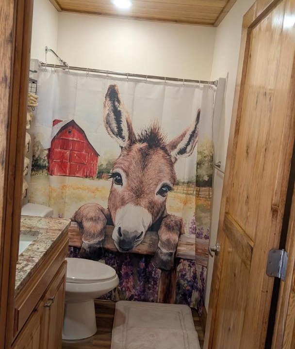 Photo of Bathroom in Waynesville