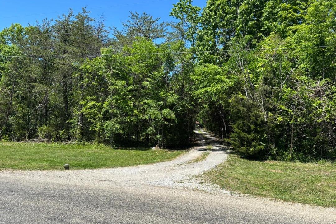 Photo of Outdoor in Columbia