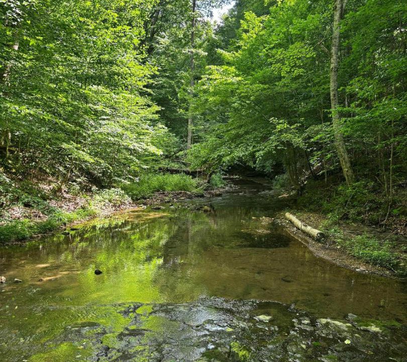 Photo of Others in Joelton
