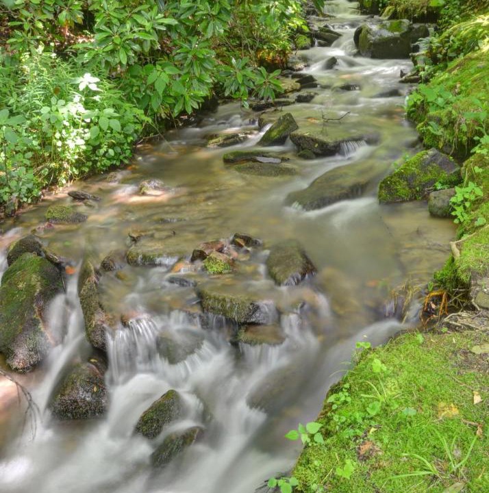 Photo of Others in Cherokee