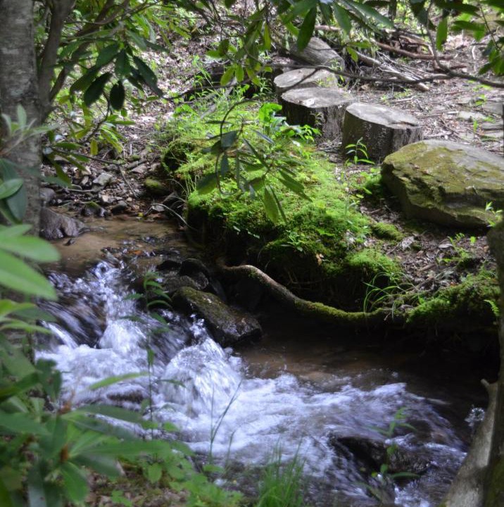 Photo of Others in Cherokee