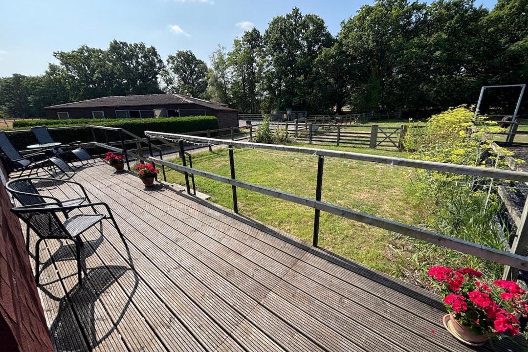 Photo of Patio Balcony in New Forest District