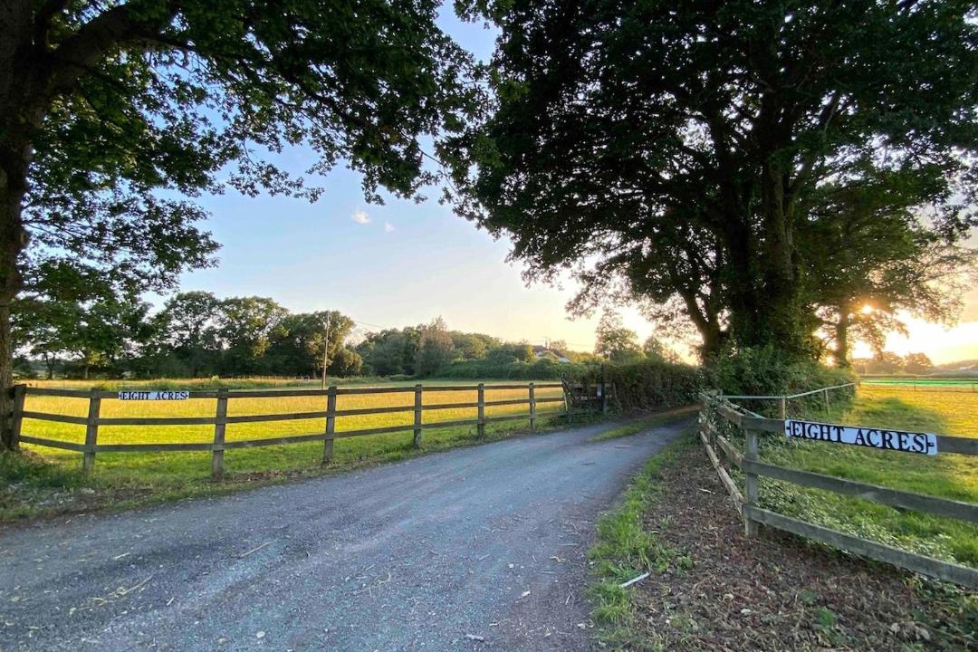 Photo of Others in New Forest District