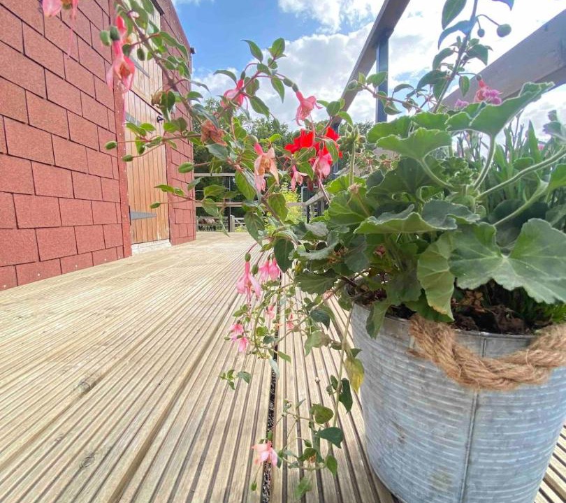Photo of Patio Balcony in New Forest District