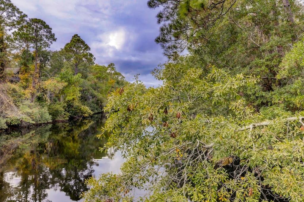 Photo of Others in Palmetto Dunes