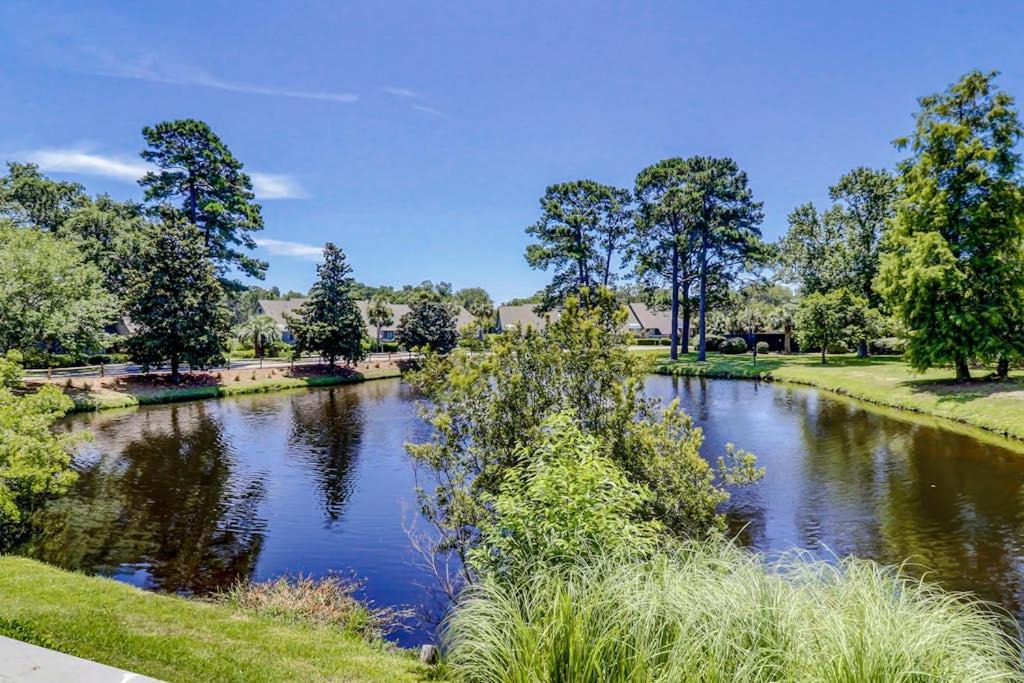 Photo of Others in Palmetto Dunes