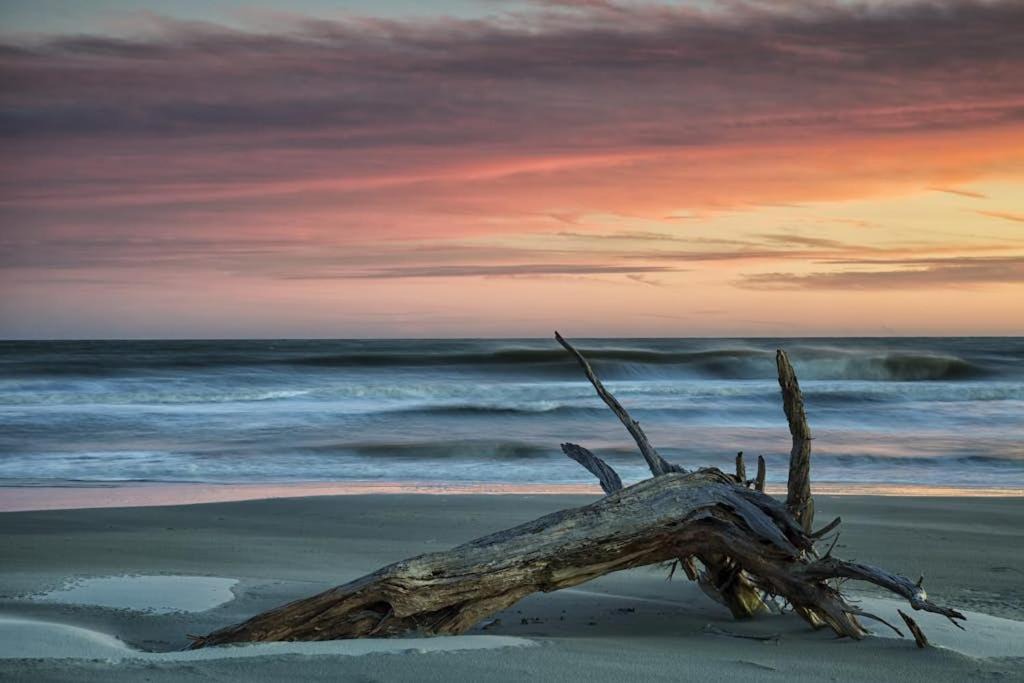 Photo of Others in Palmetto Dunes