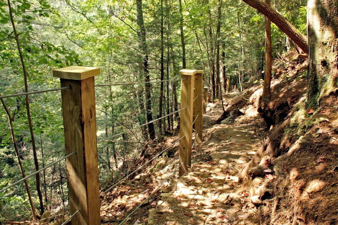 Photo of Others in Monteagle