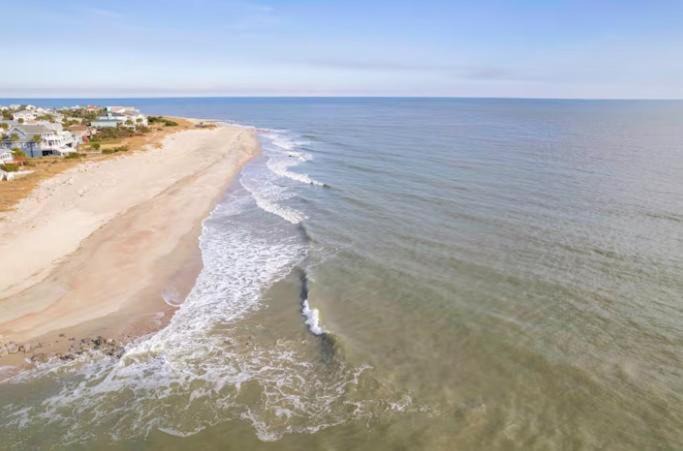 Photo of Others in Edisto Island