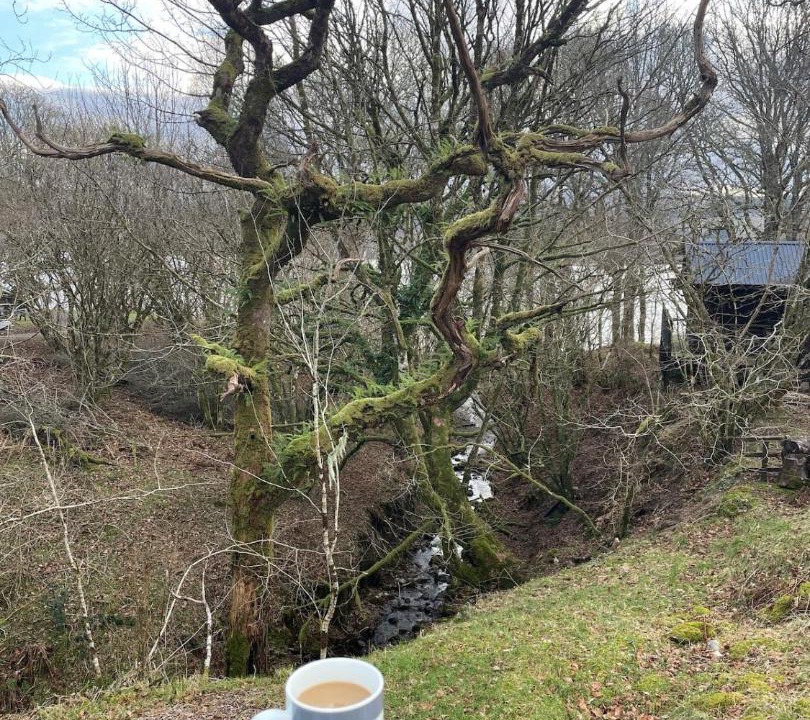 Photo of Others in Taynuilt