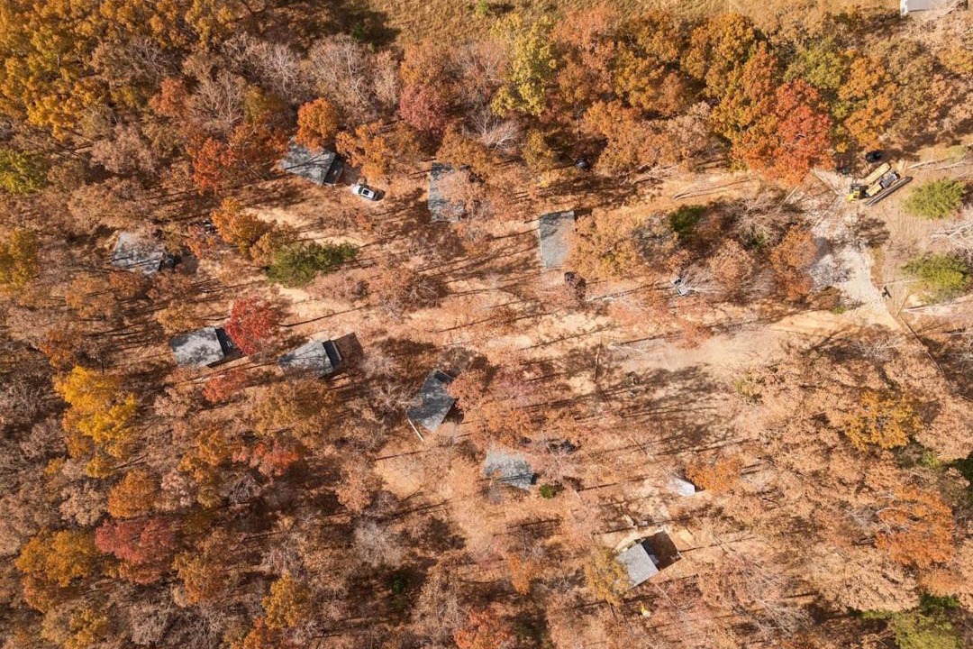 Photo of Others in Lewis County