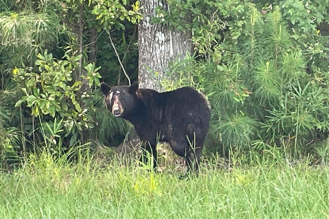 Photo of Others in Fairfield