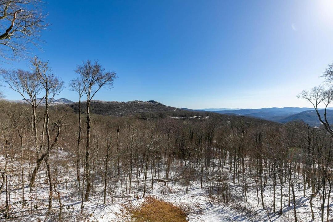 Photo of Others in Sugar Mountain