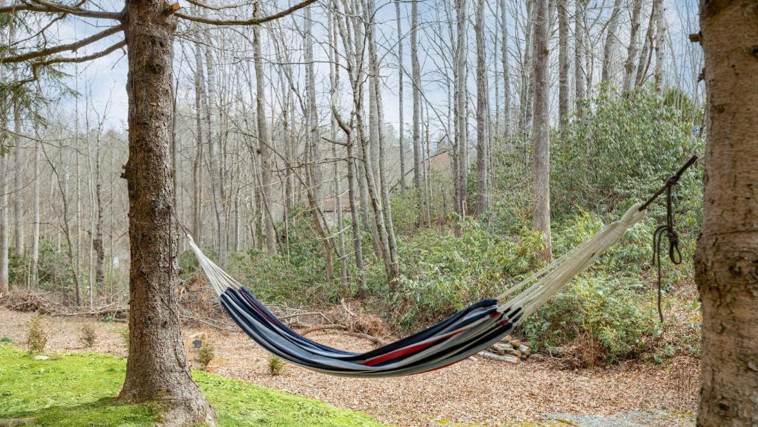 Photo of Others in Brevard