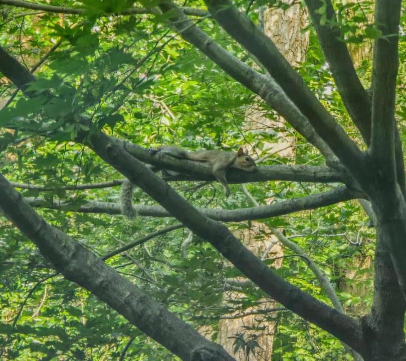 Photo of Others in Winston - Salem