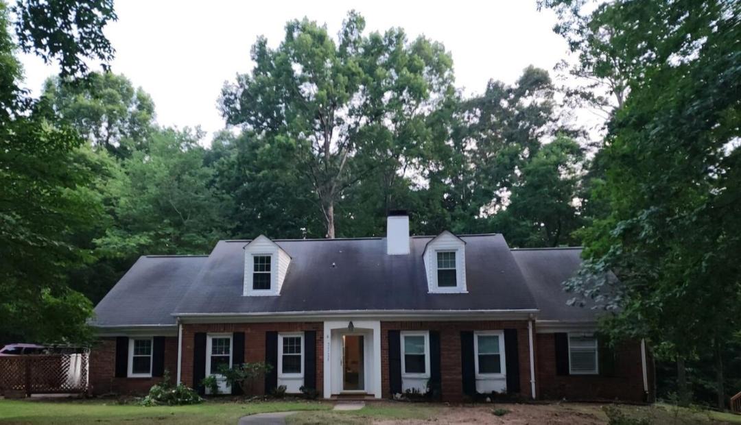 Photo of Others in Stallings
