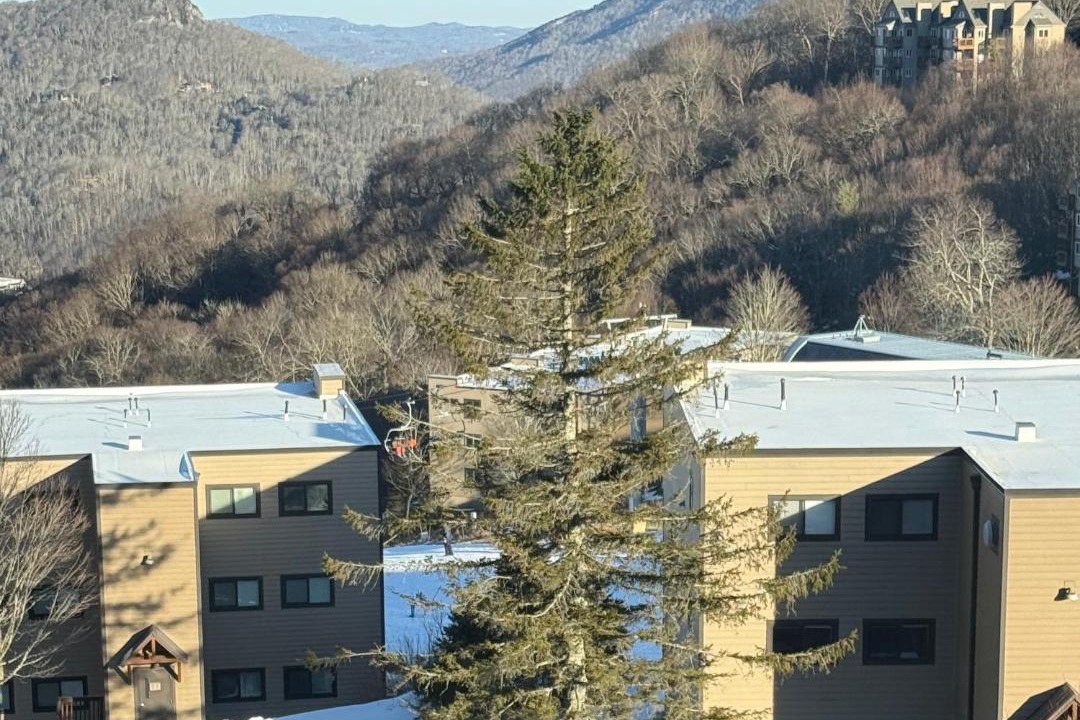 Photo of Others in Sugar Mountain