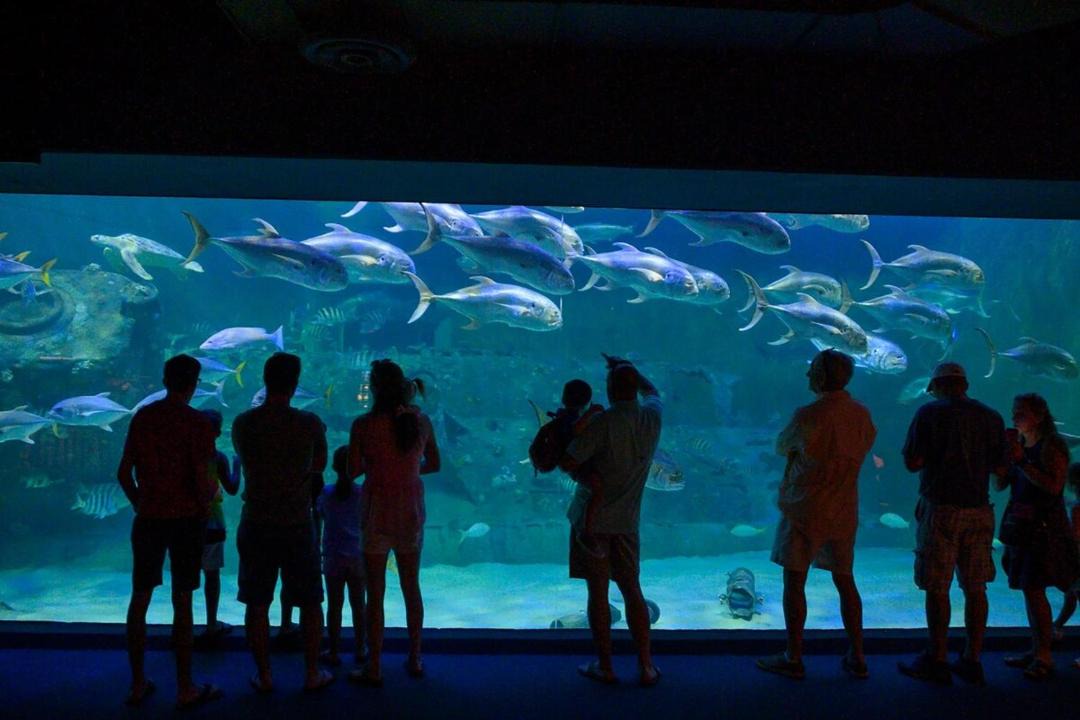 Photo of Others in Wilmington Beach