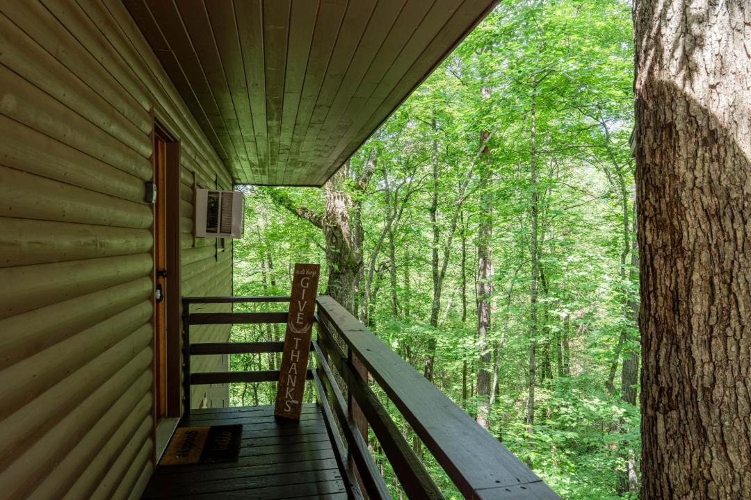 Photo of Others in Bryson City