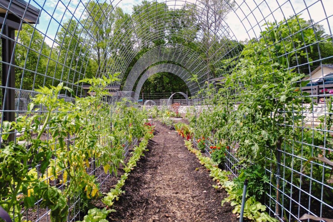 Photo of Others in Balsam Grove