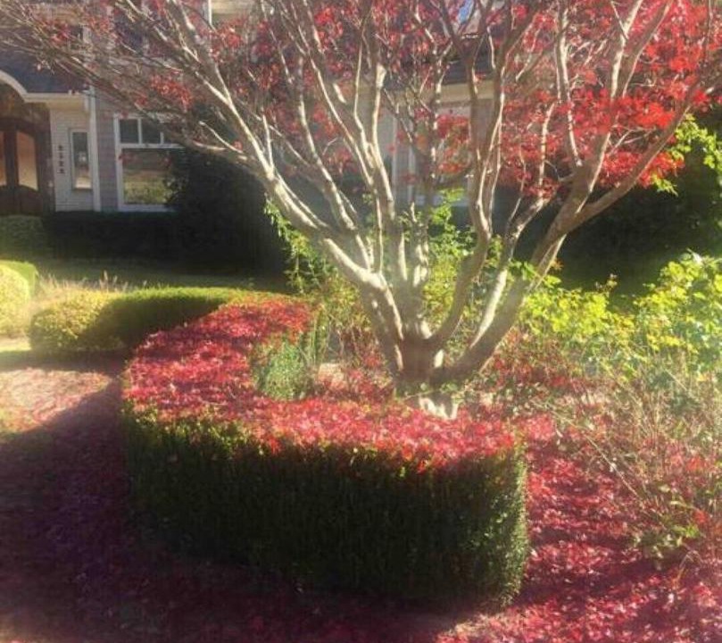 Photo of Outdoor in Raleigh