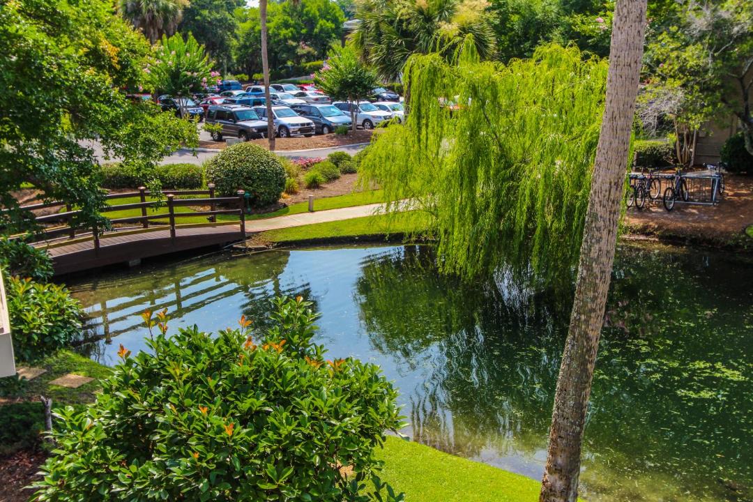 Photo of Others in Hilton Head Island