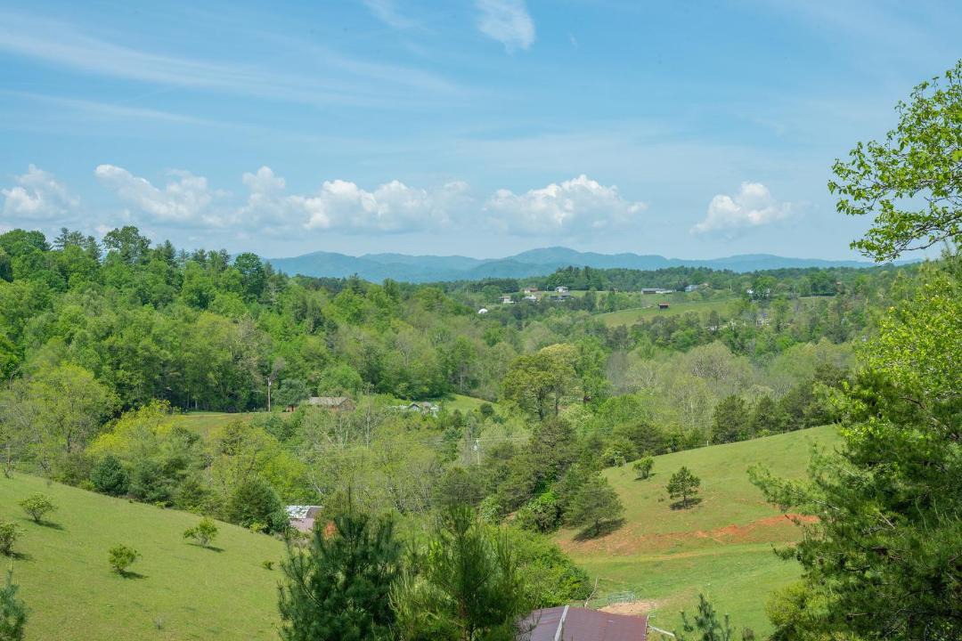 Photo of Others in Weaverville