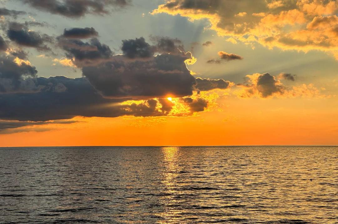 Photo of Others in Monteray Shores