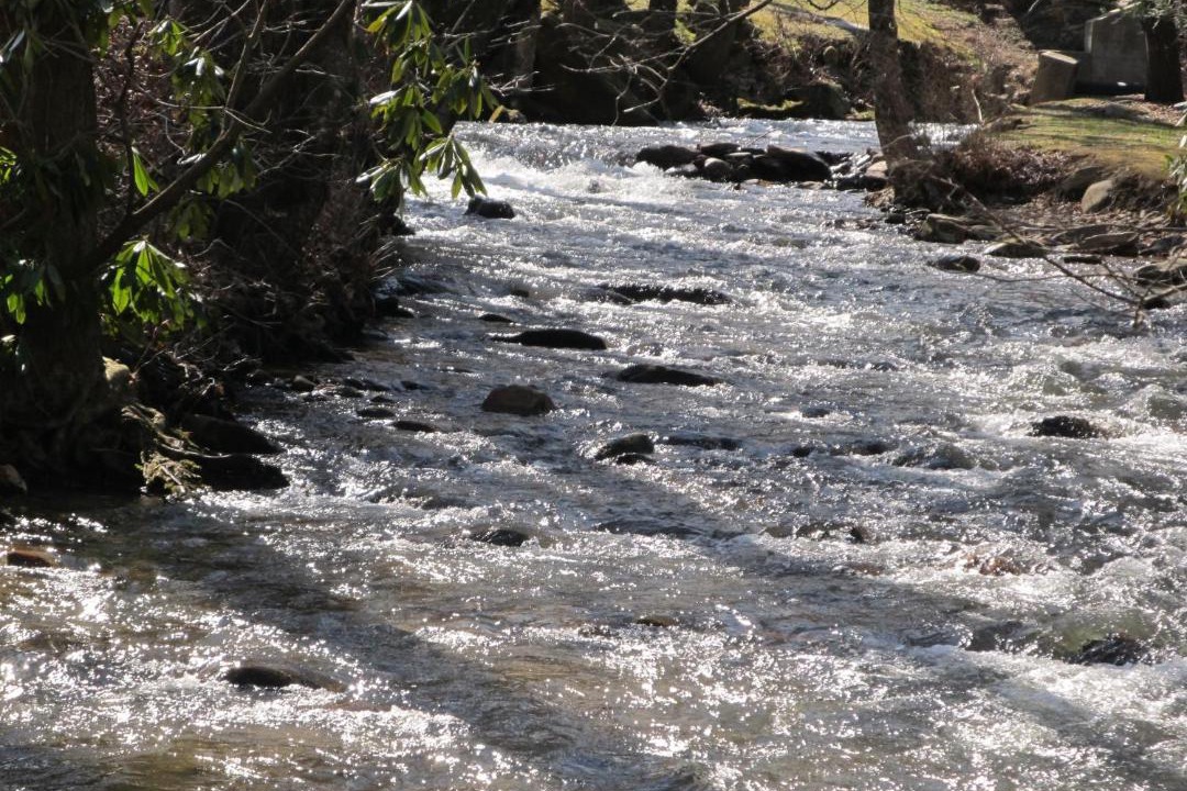 Photo of Others in Valley Creek Run
