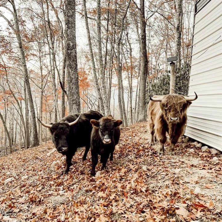 Photo of Others in Canton