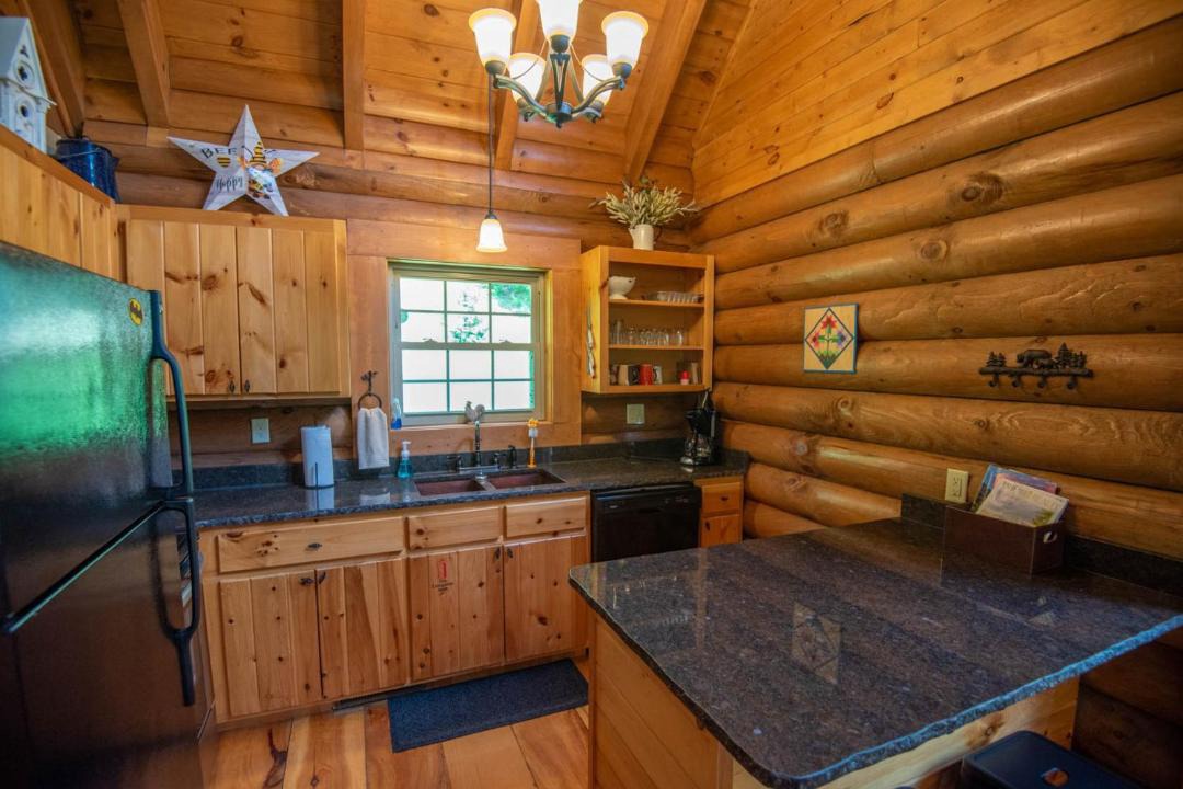 Photo of Kitchen in Lansing