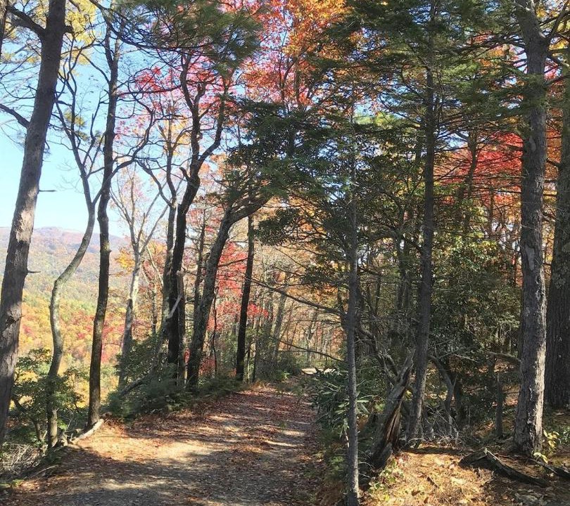 Photo of Others in Apple Ridge