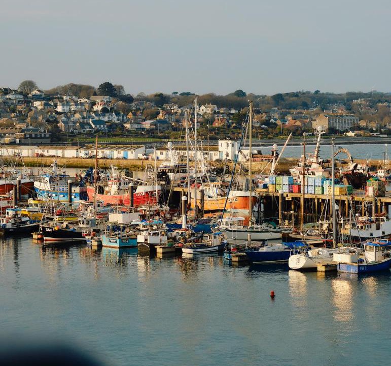 Photo of Others in Newlyn