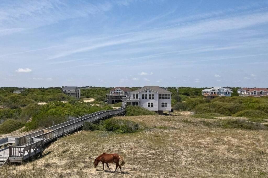 Photo of Others in Carova Beach