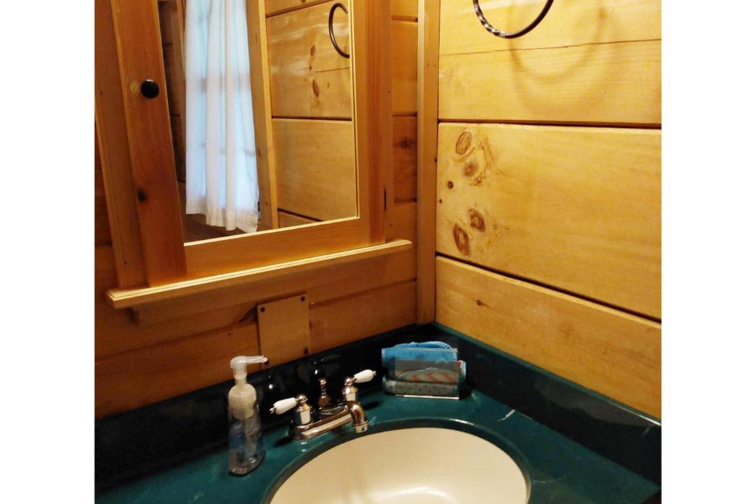 Photo of Bathroom in Hendersonville