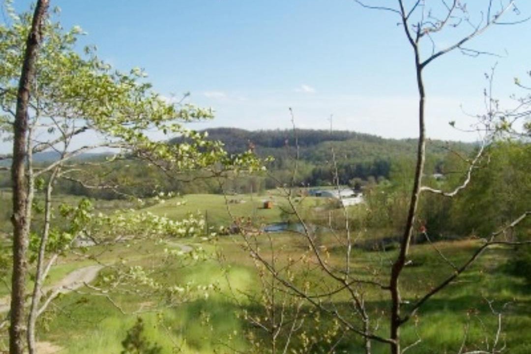 Photo of Others in Hendersonville
