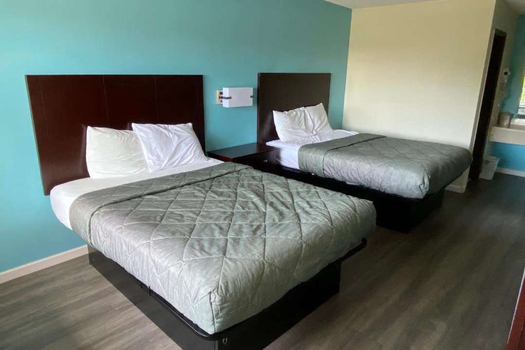 Photo of Bedroom in Havelock
