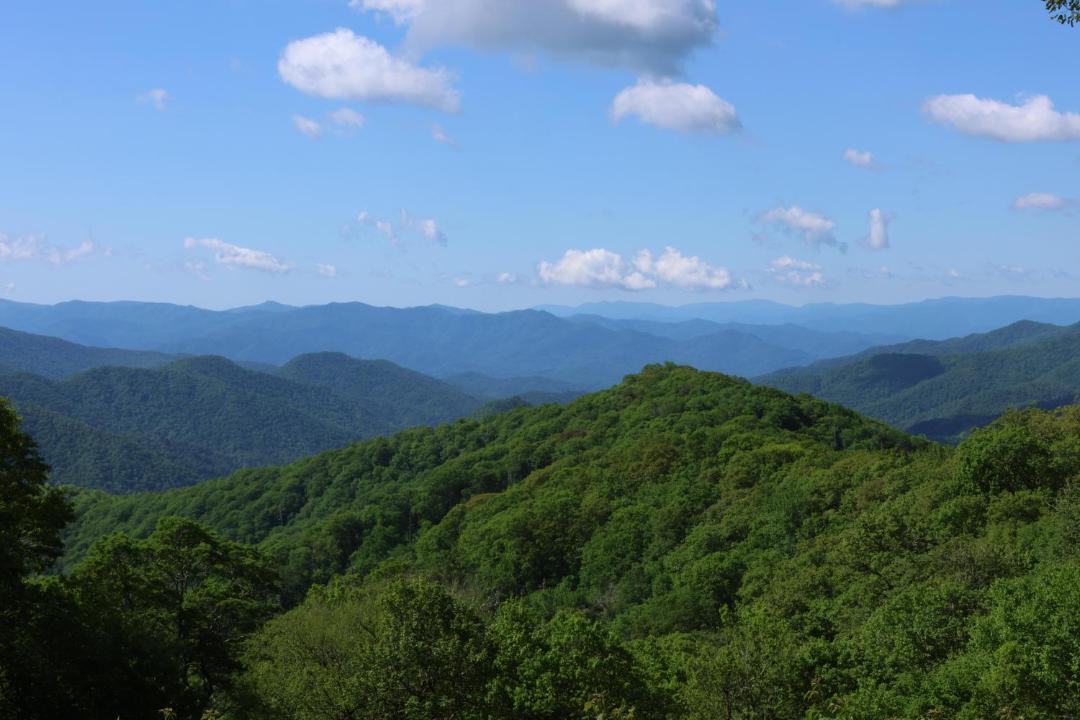 Photo of Others in Cherokee