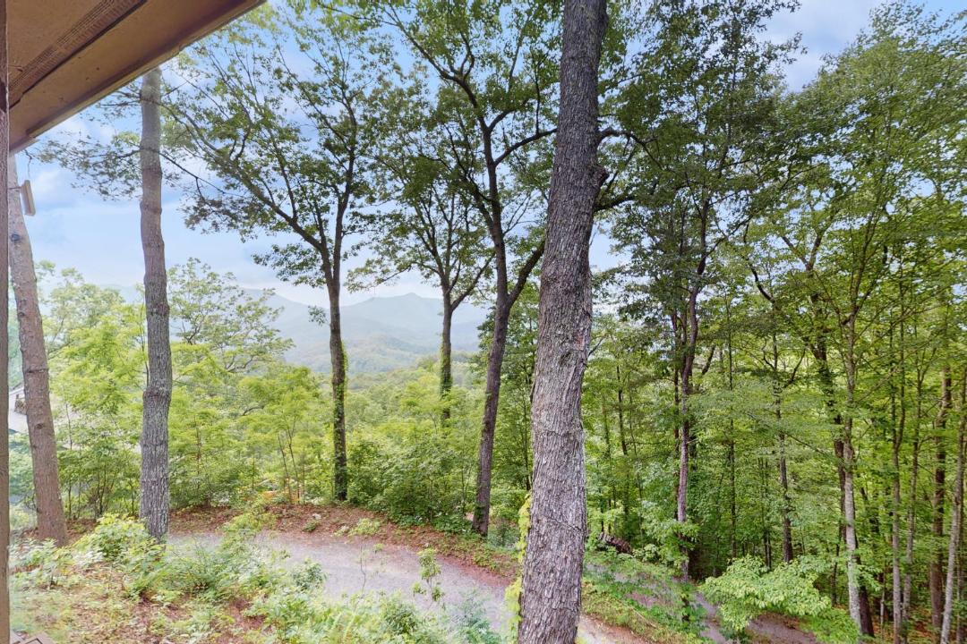 Photo of Others in Bryson City