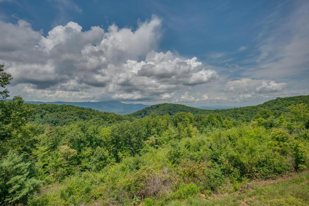 Photo of Others in Piney Mountain