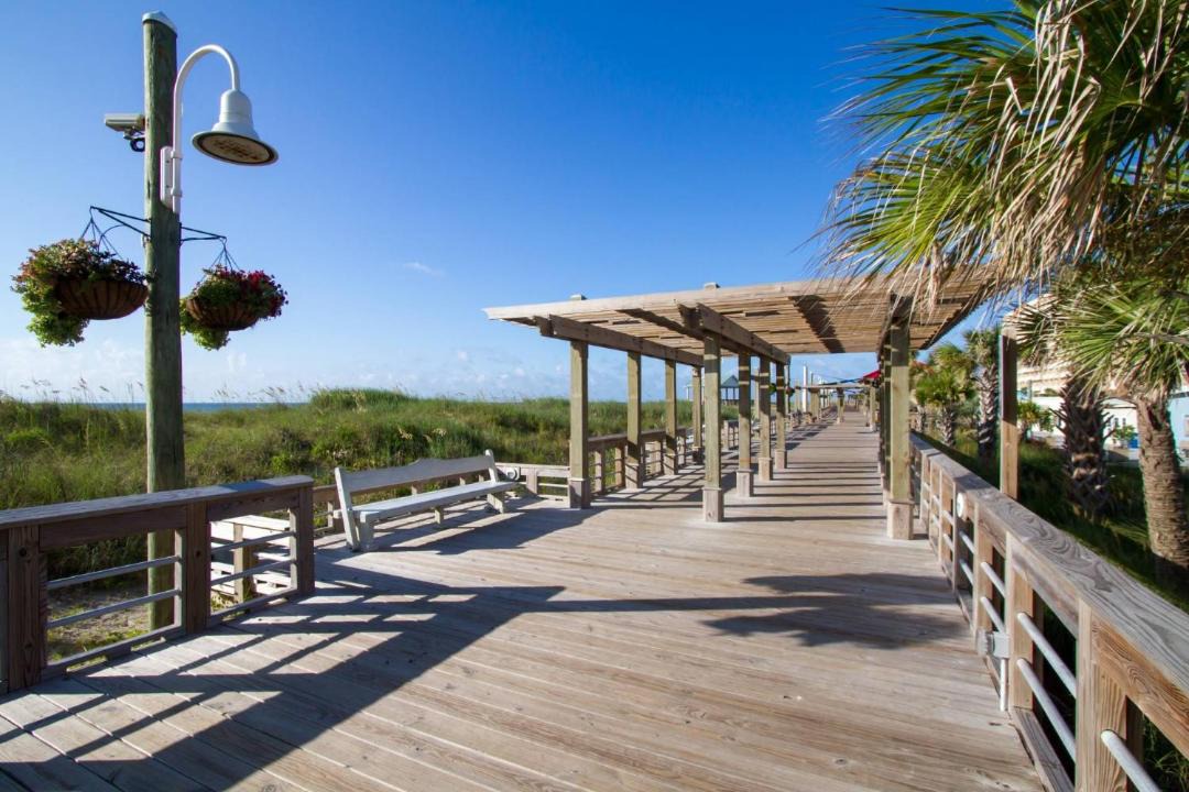 Photo of Others in North Carolina Coast