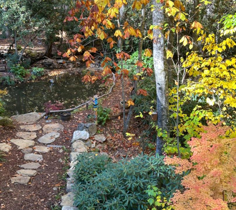 Photo of Outdoor in Maggie Valley